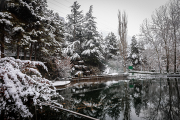 بارش برف در تهران