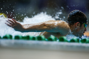 Des compétitions de natation à Téhéran 