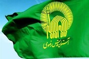 پویش "همه ایران خانه حضرت رضا (ع) است" در کرمان اجرا می شود