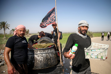 Arbaeen walk; Divaniyeh to Kufa route