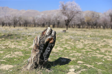 ردپای گردشگران در طبیعت روستای مهارلو