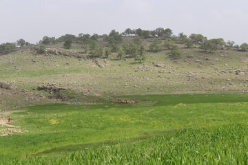 چشم اندازهایی از بهار در طبیعت اندیکا