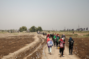 Arbaeen walk; Divaniyeh to Kufa route