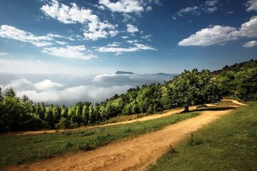 ۴۰ رویداد با رویکرد ملی و استانی برای توسعه گردشگری استان سمنان تعریف شد