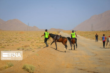 Endurance riding competition in Iran