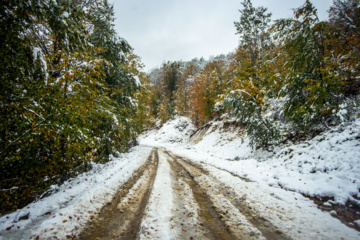 Nieve otoñal en Mazandarán