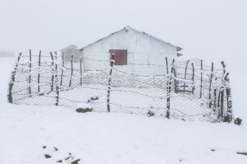 Iran : chutes de neige sur les hauts plateaux du Guilan au nord