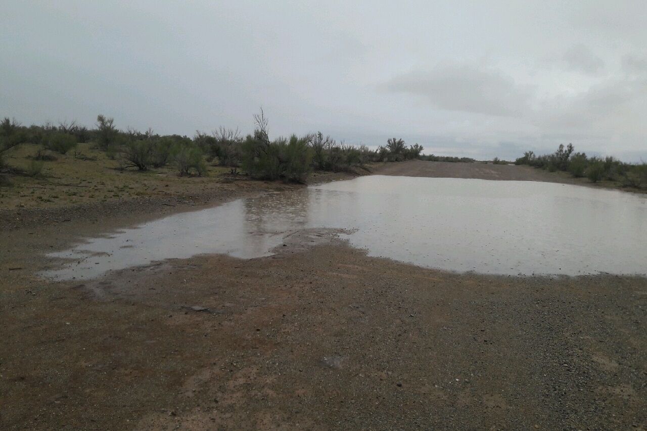 بارش باران در نقاط کویری آران‌وبیدگل