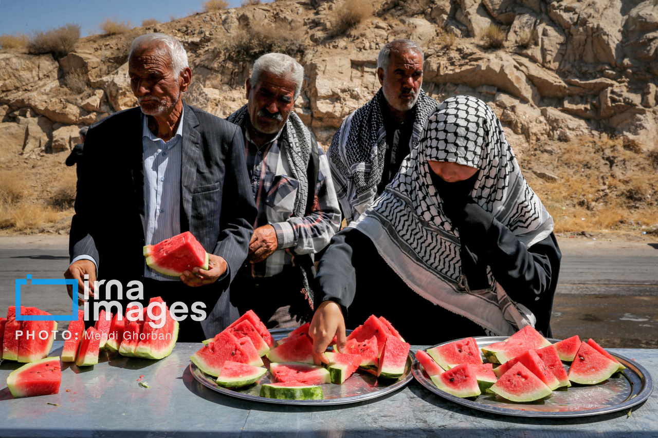 زائران پیاده در راه مشهد الرضا(ع)