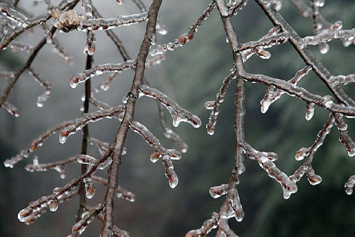 یخبندان شبانه تا چهارشنبه در گلستان ماندگار است