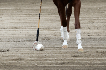 Coupe Lotus de la Ligue Nationale de polo