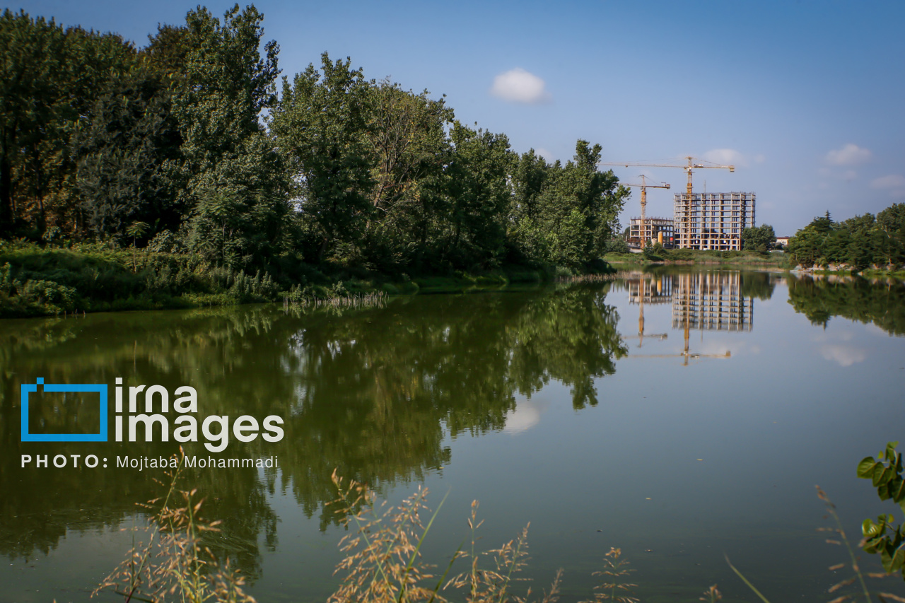 احیاء و ساماندهی تالاب عینک رشت