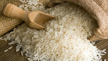 موسسه تحقیقات برنج کشور ۲ رقم جدید این محصول را معرفی کرد