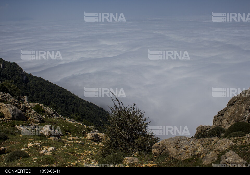 اوپرت سمنان