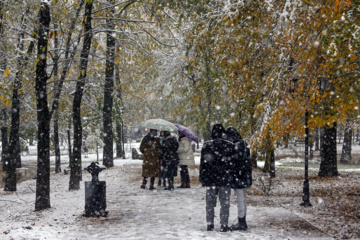 Iran-décembre 2024 : chutes de neige d’automne à Rasht au nord (Photo : Mojtaba Mohammadi)