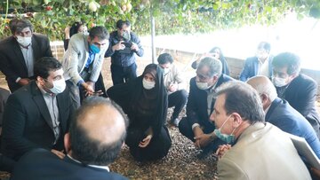توسعه کشت گلخانه، اولویت برنامه‌های استان قزوین است