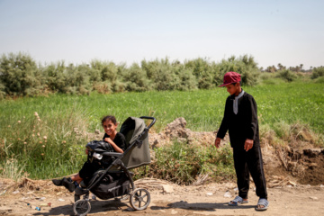 Marche d'Arbaeen:  route de Divaniyeh