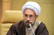 امام جمعه شیراز: در عرصه بین‌الملل بر هویتِ مسلمانِ ایرانی تاکید شود