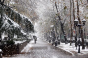 Autumn snowfall in Rasht