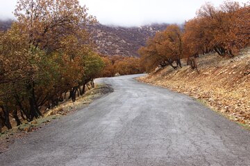 طبیعت پائیزی کوهستان