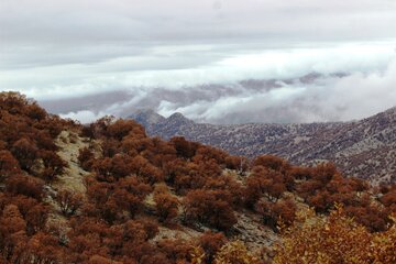 طبیعت پائیزی کوهستان