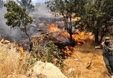 آتش در پهنه های سعادت آباد شوشتری مرودشت جولان می‌دهد