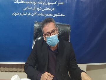 نماینده سبزوار: کاهش مالیات تولید، گام مجلس برای تحقق شعار سال است