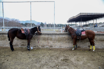 Coupe Lotus de la Ligue Nationale de polo