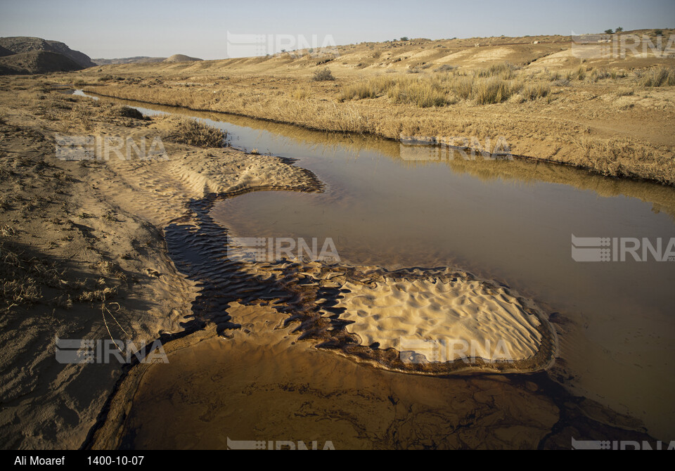 آلودگی ناشی از شکستگی در خط انتقال پساب چاه ۳۶۵ مارون در بخش غیزانیه