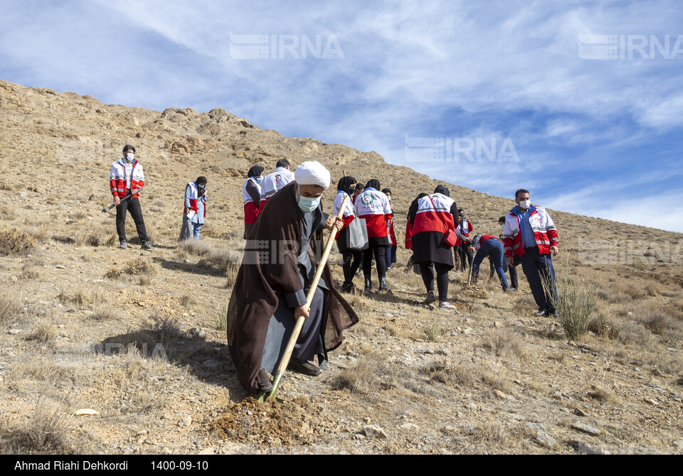 پویش مردمی بذرکاری برای احیای جنگل های زاگرس در شهرکرد