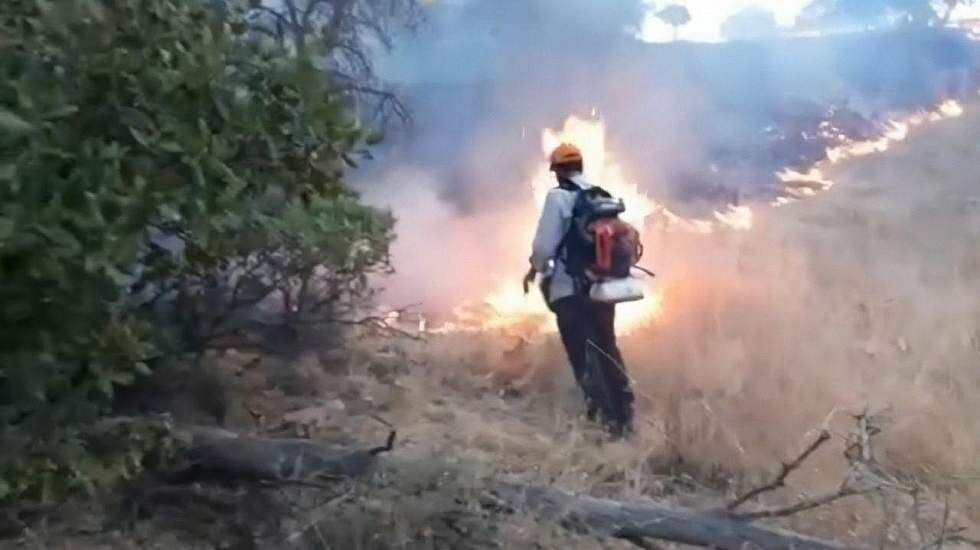 منابع طبیعی فارس به ۳۸ دمنده و ۱۵۰ قرقبان تجهیز شد