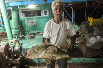 Pesca de camarones y peces en el Golfo Pérsico