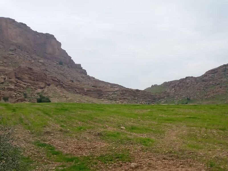 شیراز- ایرنا- نیروهای یگان حفاظت منابع طبیعی شهرستان آباده استان فارس 30...