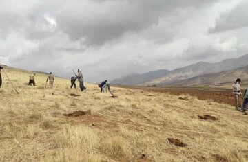 عملیات بیولوژیک آبخیزداری در مراتع کردستان آغاز شد