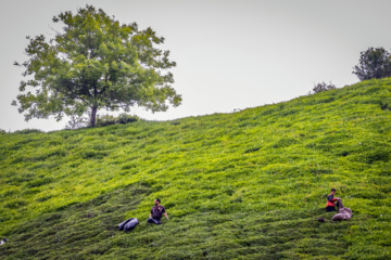 Lahijan tea