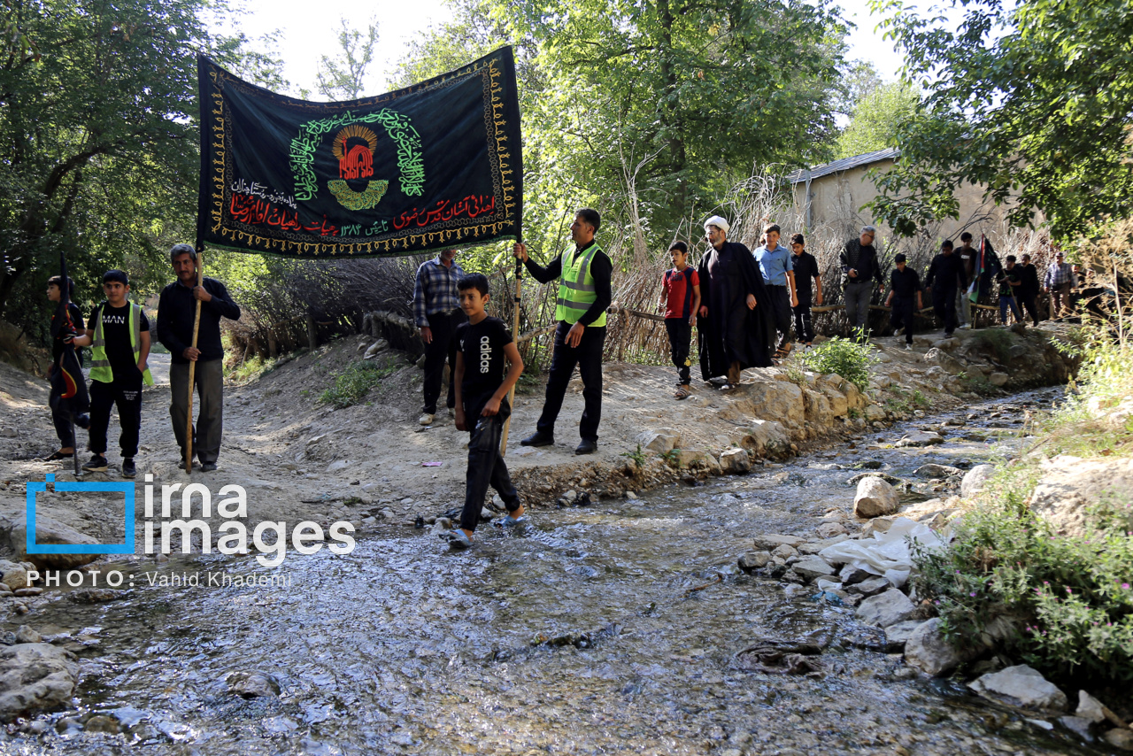 زائران پیاده حرم رضوی