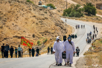 زائران پیاده در راه مشهد الرضا(ع)