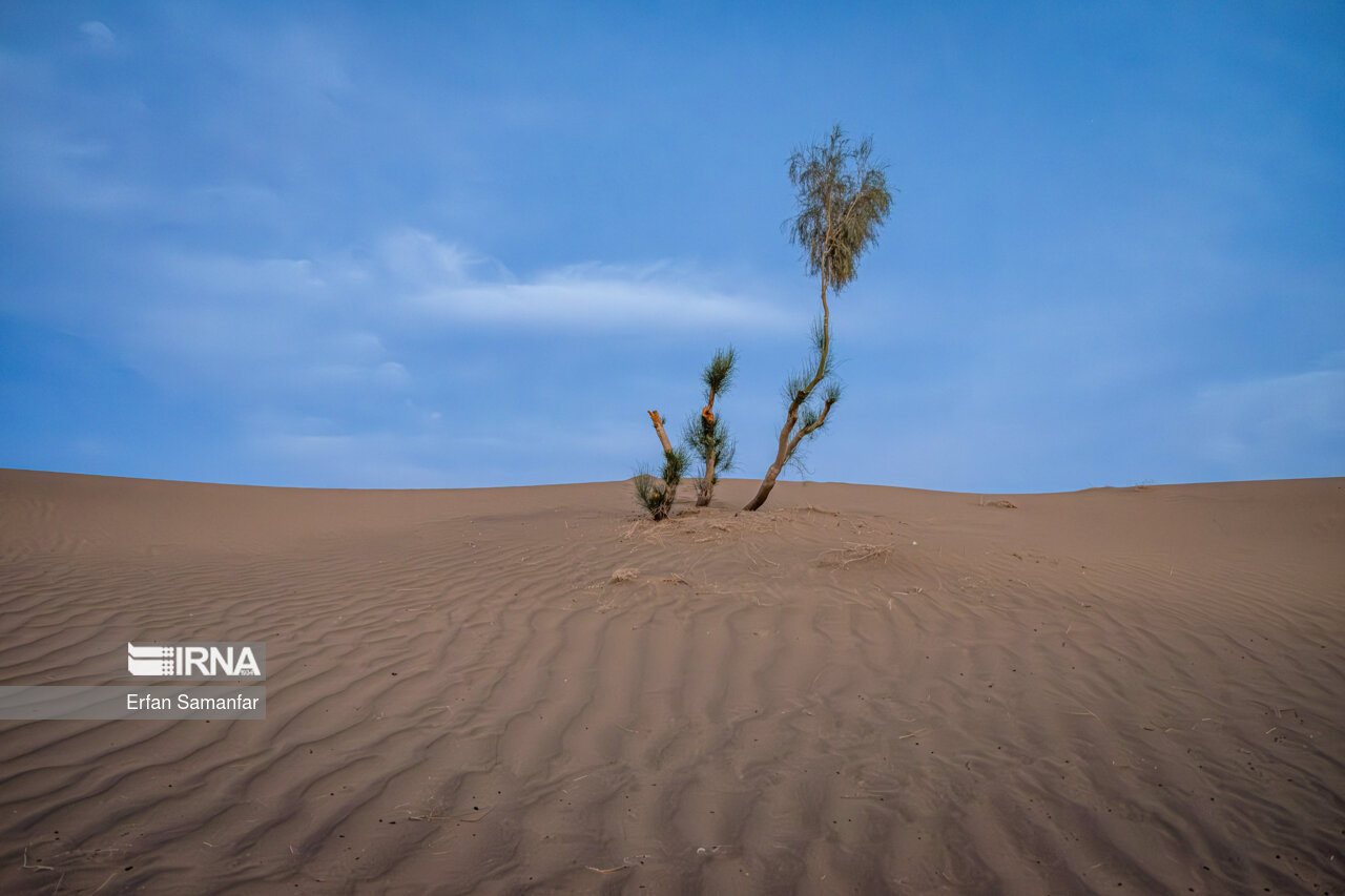 پناهگاه حیات وحش نایبندان