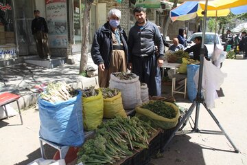 بازار گياهان خوراكي در مهاباد