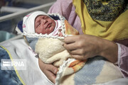 طرح همیار مادر و کودک در سه شهرستان ایلام اجرا می شود