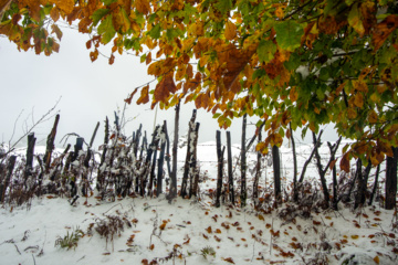 Nieve otoñal en Mazandarán