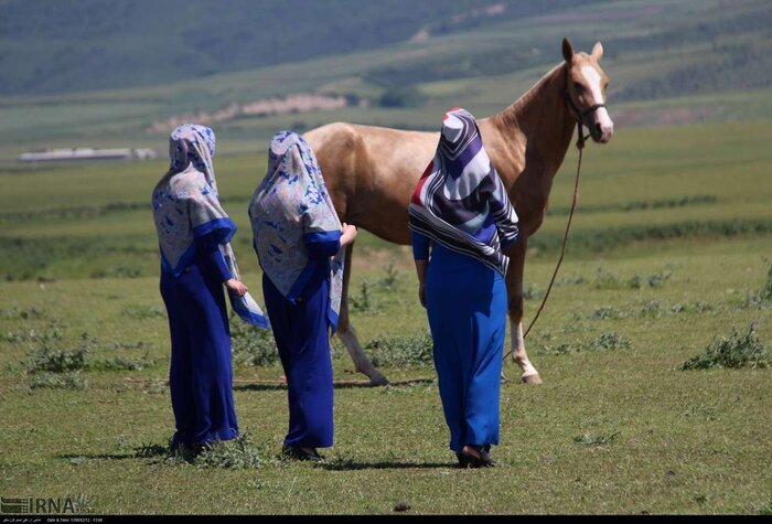 برترینهای جشنواره ملی زیبایی اسب‌ اصیل ترکمن مشخص شدند