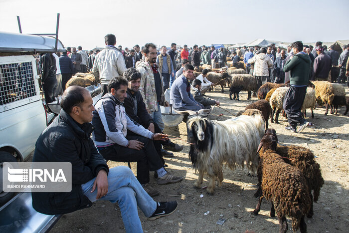 زخم خشکسالی بر پیکر کشاورزی شهرستان مرزی راز و جرگلان 