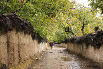 شیراز در نخستین روز باران پاییزی