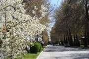 Spring time in Orumiyeh, Iran