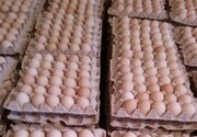 با محتکران تخم‌مرغ در تهران برخورد می‌ شود / هر شانه ۴۳ هزارتومان