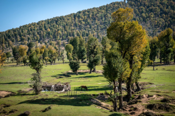 Iran: plaine de Markouh dans la province du Golestan au nord