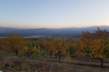 جلوه هایی از پاییز رنگارنگ در اشنویه