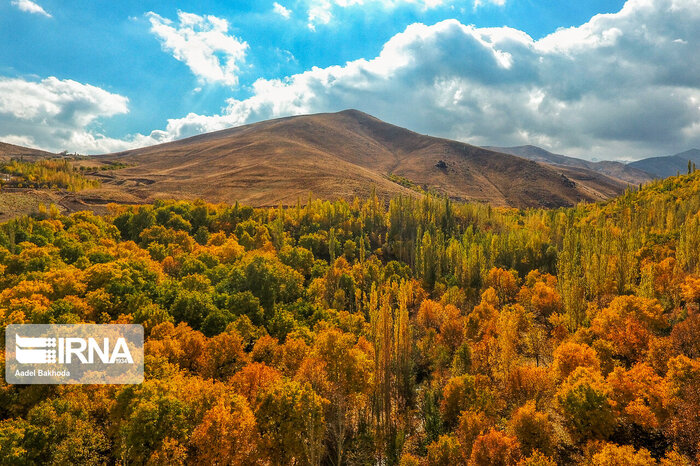 جلوی تخریب مراتع در استان اردبیل گرفته می‌شود