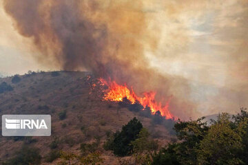 ۱۲۰ کیلومتر آتش‌بُر در منابع طبیعی همدان ایجاد شد